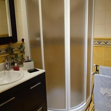 Duplex ויביירו